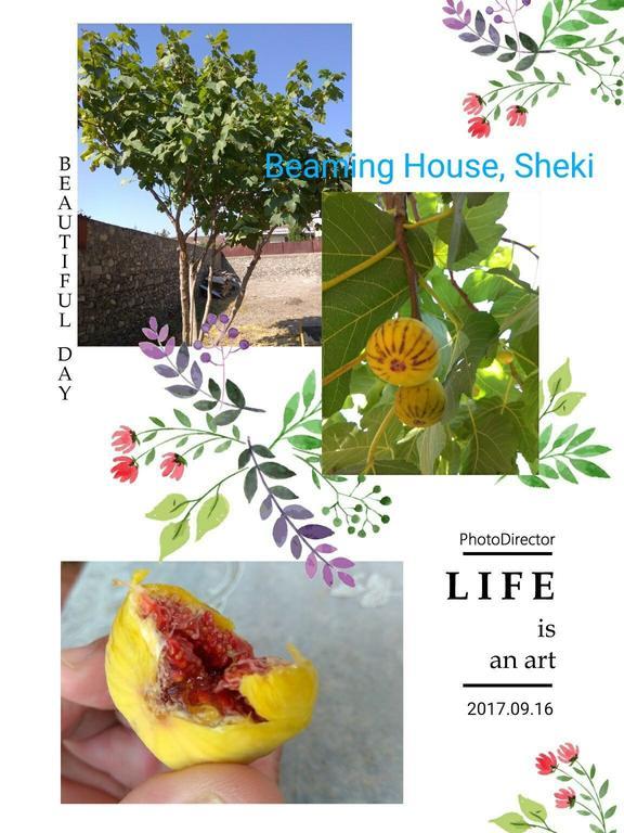 Beaming_House Hotel Şǝki Kültér fotó